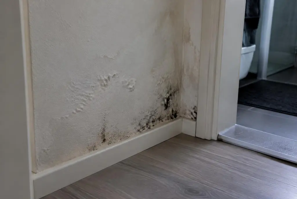 Lekdetectie Hoogland – vochtplek met schimmel op een muur